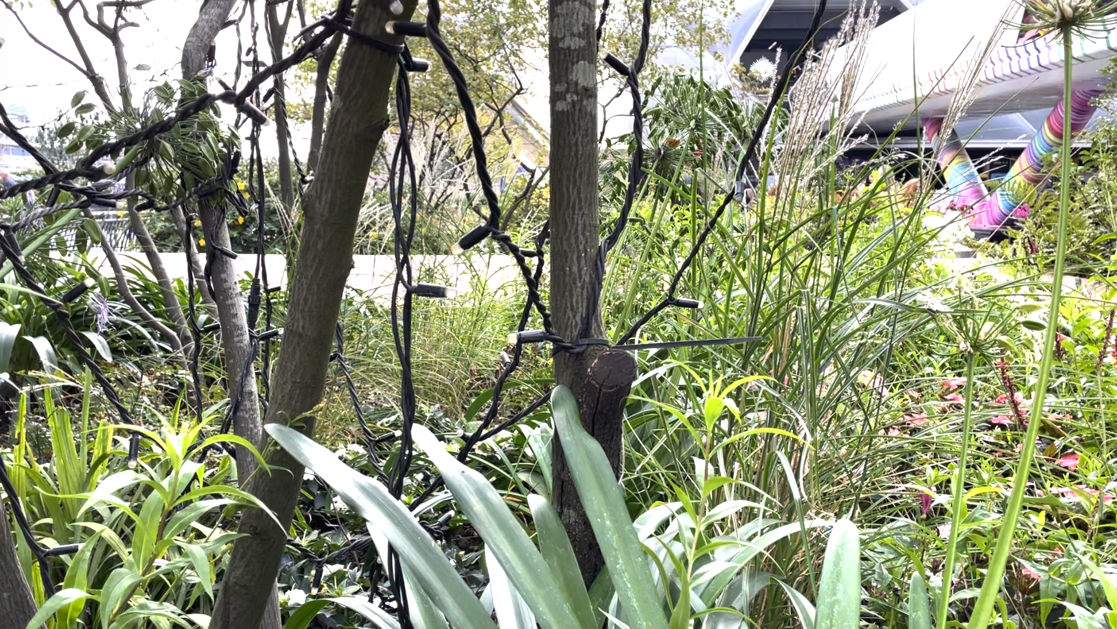 Star Wars on Location: 6 Ways to Better Protect Communities and Nature 1 Banner image
