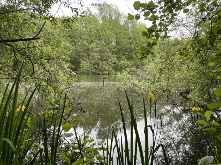 Little Marlow nature